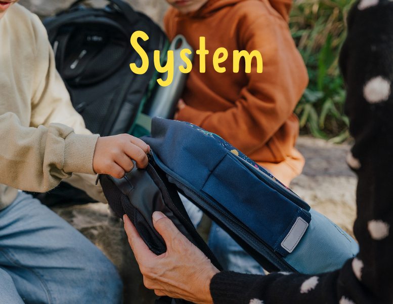 System